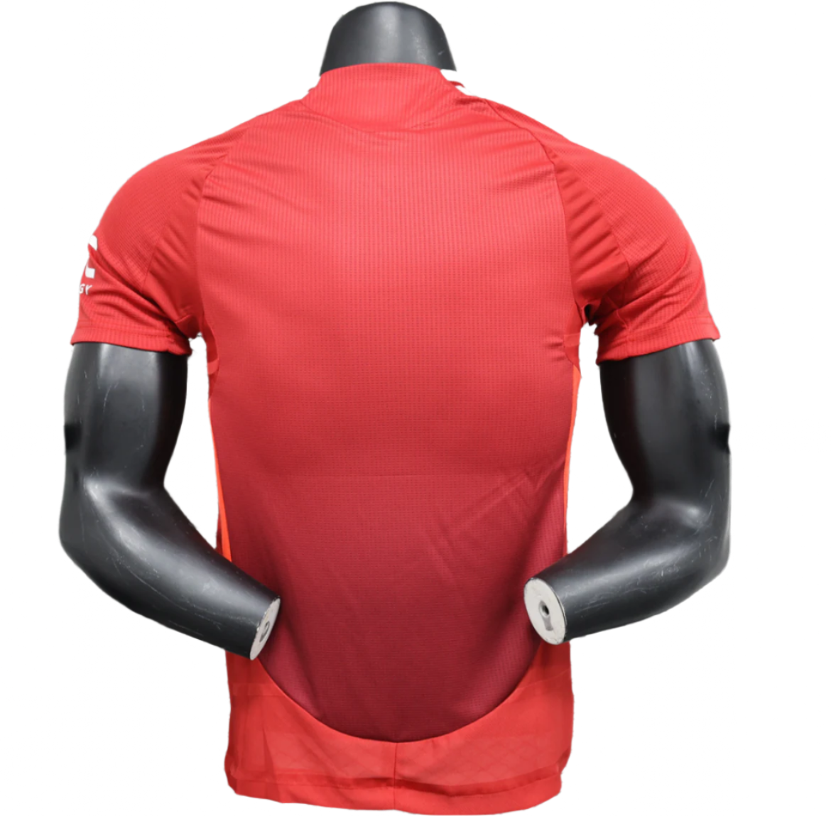 Manchester United 24/25 Home Kit (Player Version)