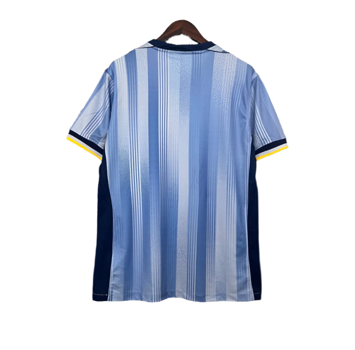 Tottenham Hotspur 24/25 Away Kit (Fan Version)