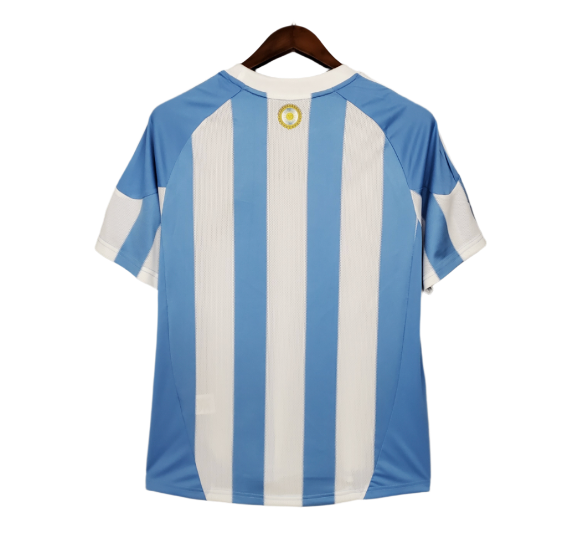Argentina 10 Home Kit