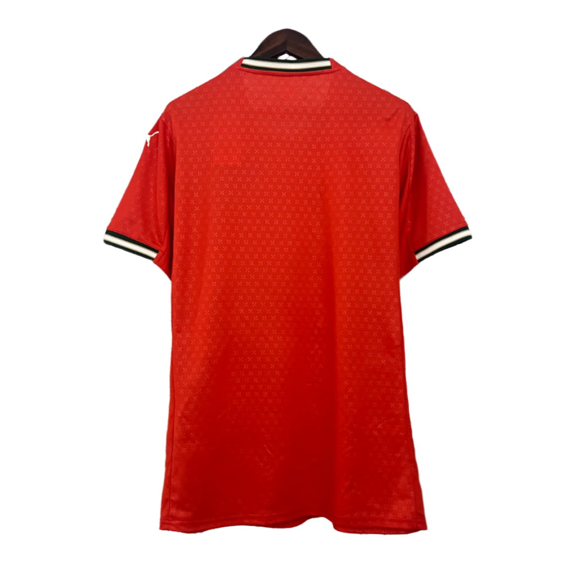 Portugal 24/25 Home Kit (Fan Version)