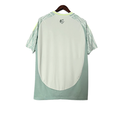 Mexico 24/25 Away Kit (Fan Version)